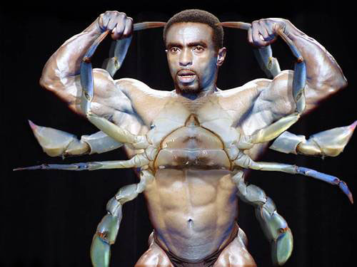 Crab Man