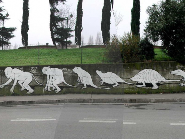 Evolution Graffiti
