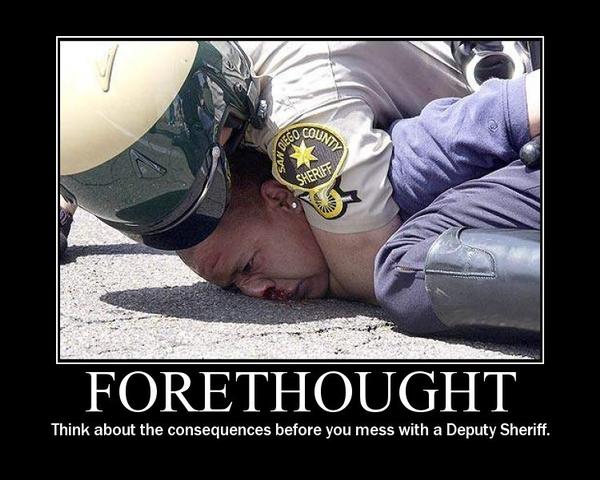 Think about the consequences before messing with a deputy sherriff