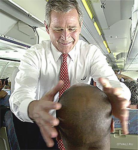 Bush  bald heads
