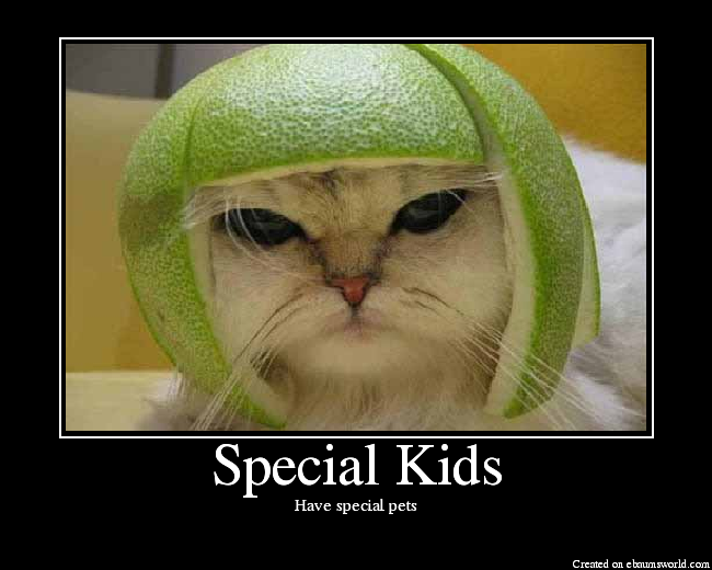 Have special pets