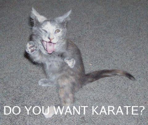 karate kat has a black belt in karate