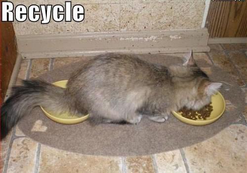 He's recycling.