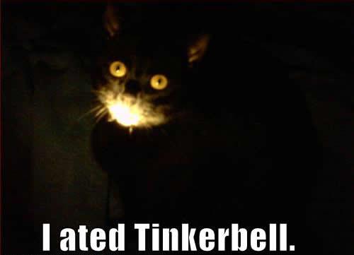 Tinkerbell. He eated it.