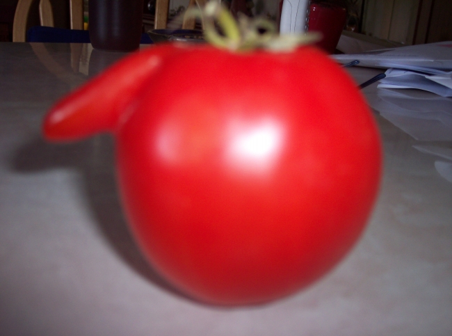 One well endowed tomato!!