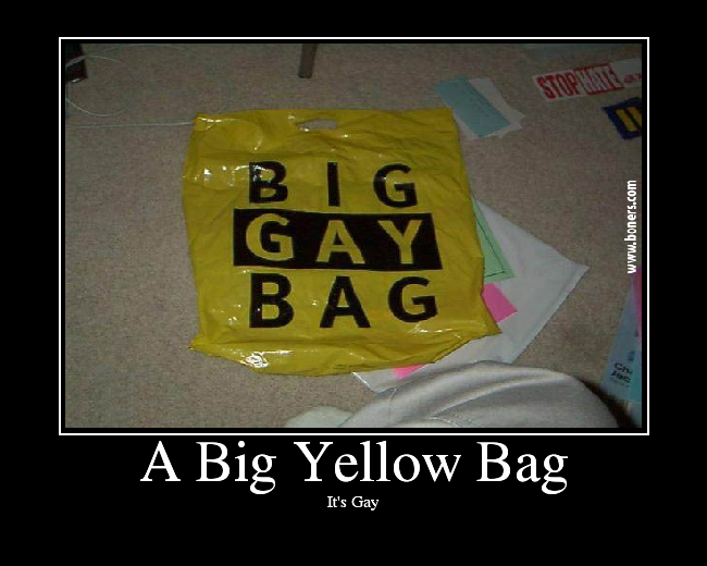 A Big Yellow Bag Picture eBaum's World