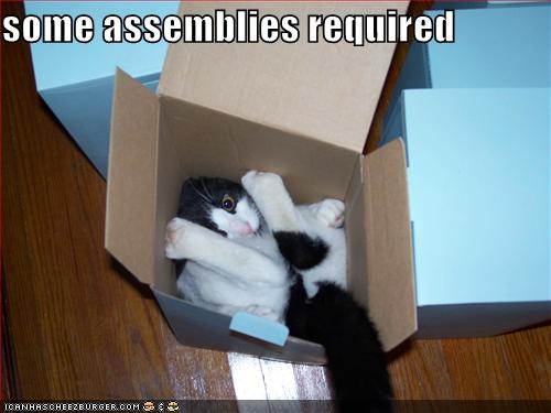 Lolcats 4 gallery pt 1