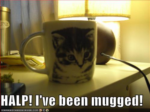 lolcats video gallery pt 2