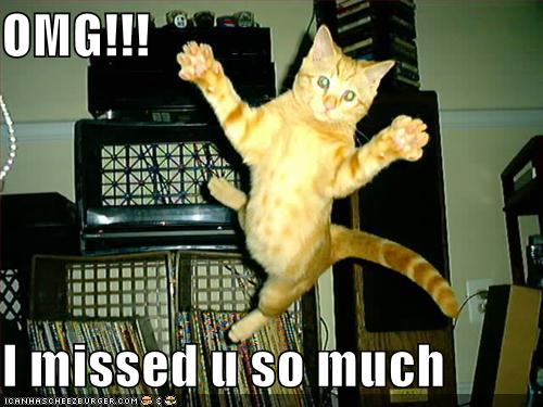 lolcats video gallery pt4!!