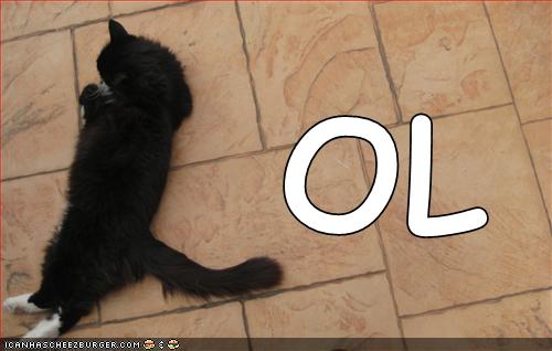 lolcats video gallery pt4!!