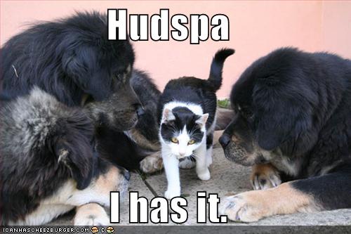 lolcats video gallery pt 5