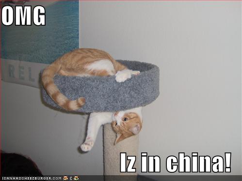 lolcats video gallery pt 6