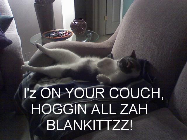 Iz on couch hoggin zah blankets.