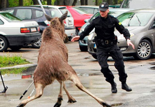 A collection of some funny and WTF images of cops on duty from all over the world.