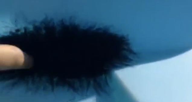 Its Just A Harmless Furry Thing?