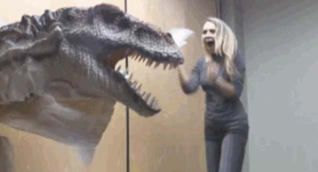 27 Hilarious Terrified Reaction Gifs - Funny Gallery