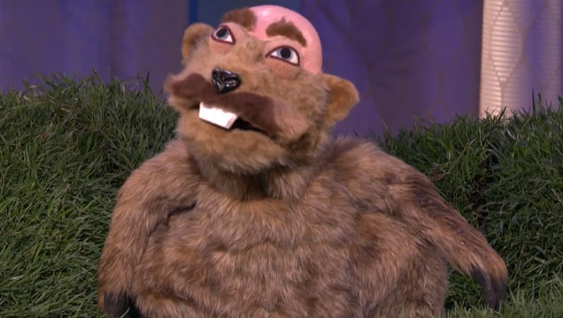 Conan O'Brien Meets Punxsutawney Dr. Phil