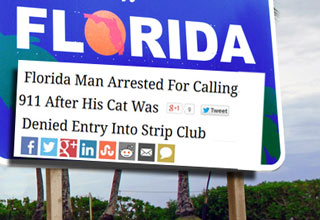 Theres just something about the Sunshine state that leads to the most bizarre headlines..
