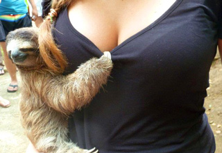 Furry creatures and cleavage!