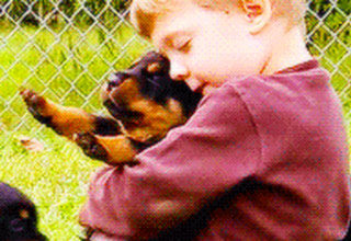 20 pictures and GIFs to make you get all warm and fuzzy inside.