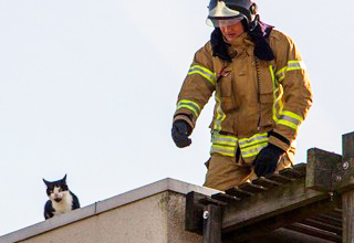 Cinematic rescue sequence of a Fireman saving a cat.