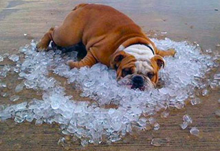 24 easy ways you can tell when it's hot outside.