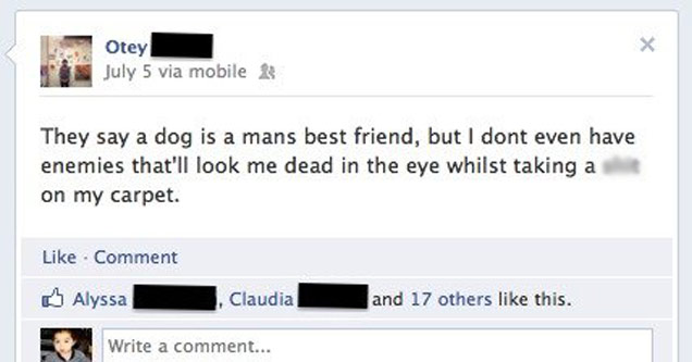 facebook - Otey July 5 via mobile They say a dog is a mans best friend, but I dont even have enemies that'll look me dead in the eye whilst taking a shit on my carpet. Comment Alyssa Claudia and 17 others this. Write a comment...