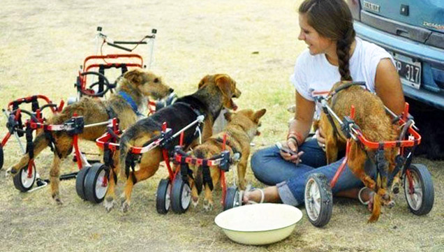 Pictures Are Worth More Than Words