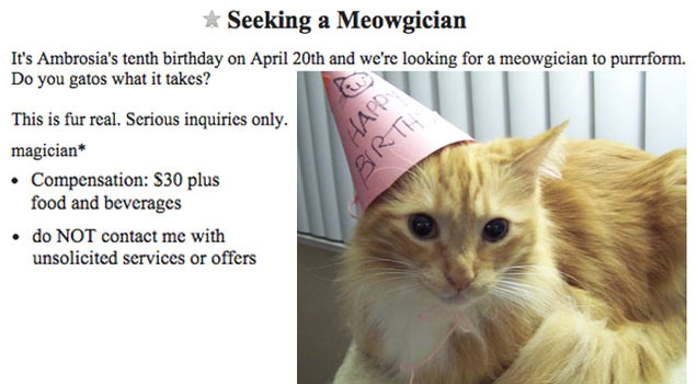 craigslist cat meme - Seeking a Meowgician It's Ambrosia's tenth birthday on April 20th and we're looking for a meowgician to purrrform. Do you gatos what it takes? This is fur real. Serious inquiries only. magician do Not contact me with unsolicited serv