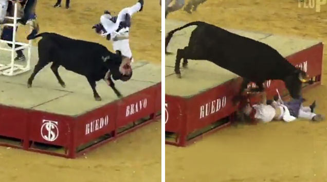 pics of a bull ramming into a person then trampling them