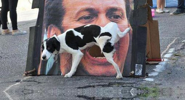 dog peeing on a wall with an image of a man