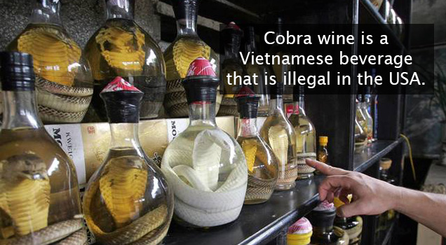 cobra wine