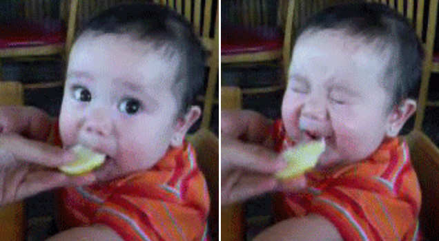 baby eating a lemon