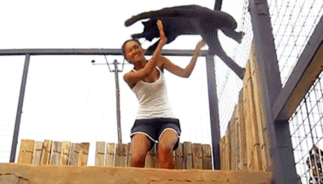 person playing with a black cat