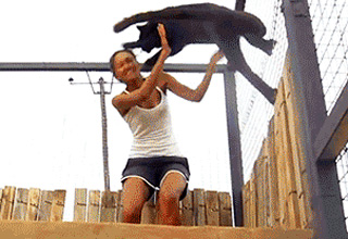 These acrobatic animals are treating the world like their own little playground.