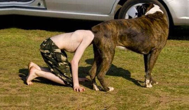 kid with head up a dog's butt