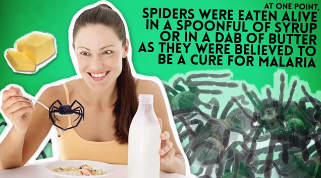 people ate spiders by the spoonful