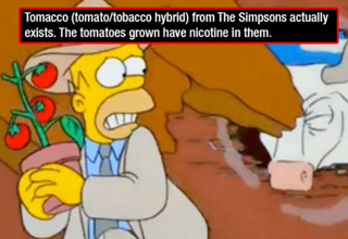 Facts about The Simpsons that you didn't already know.