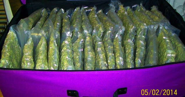 suitcase full of weed