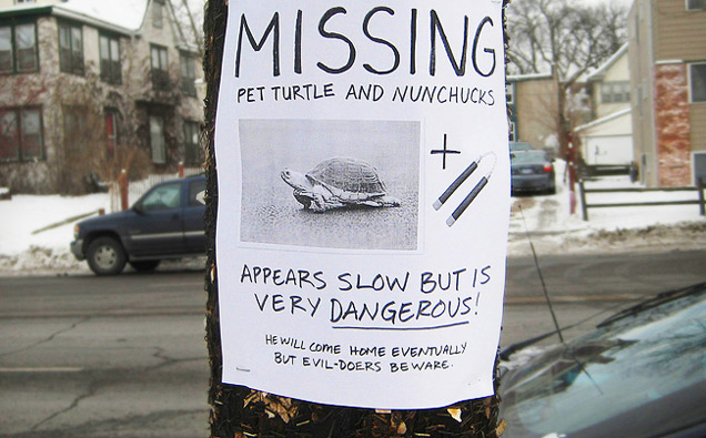 flyer for a missing turtle