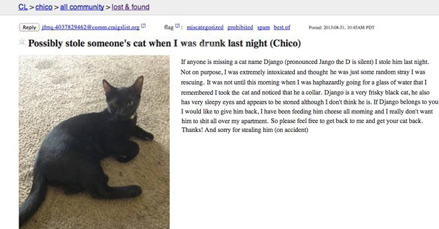 stolen cat craigslist ad