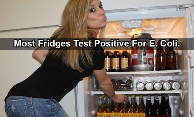 Refrigerator: Most fridges test positive for E coli.