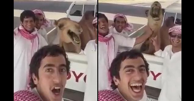 camel laughs with a group of guys