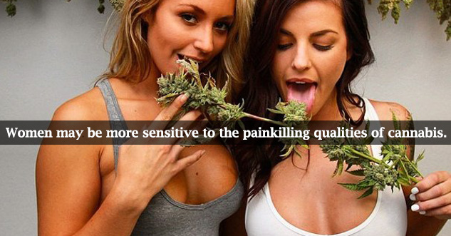 Hot girls lick pot. text reads: Women may be more sensitive to the painkilling qualities of cannabis.