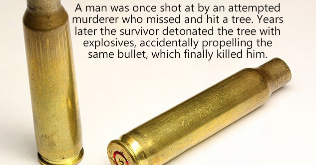 A man was once shot at by an attempted murderer who missed and hit a tree. Years later the survivor d