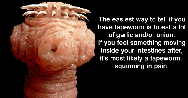 19 Creepy Facts About Parasites