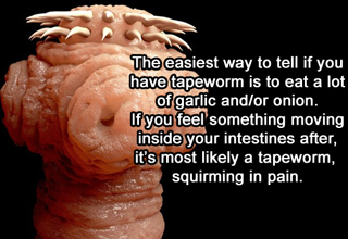 Learn about the tiny creatures that live around and inside you.