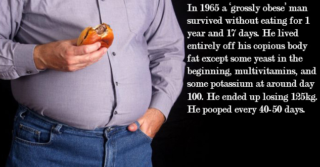 In 1965 a ‘grossly obese’ man survived without eating for 1 year and 17 days. He lived entirely off his copious body fat except some yeast in the beginning, multivitamins, and some potassium at around day 100. He ended up losing 125kg. He pooped every 40-