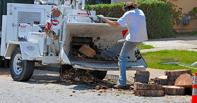 guy pushing piece of wood into wood chipper with his foot