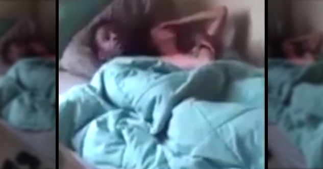 Guy and girl are laying in bed and looking embarrassed.